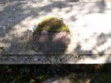 image of grave number 682087